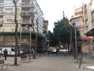 En marxa la campanya de poda d'arbrat viari  -Imatge 2-