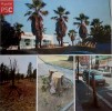 El PSC de Ripollet denuncia "falta de manteniment i deixadesa" en els parcs i jardins del municipi -Imatge 2-