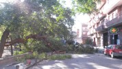 Incidències a Ripollet per la ventada del dia 9 de desembre -Imatge 2-