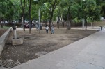 Ciutadans exigeix a l'Ajuntament accions contra "el greu problema d'insalubritat" al parc de Rizal -Imatge 2-