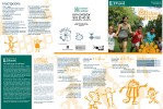 Comencen les inscripcions per als Casals d'Estiu 2009 -Imatge 2-
