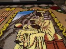 Ripollet Cultura i Tradició porta les catifes de flors al Palau de la Generalitat -Imatge 3-