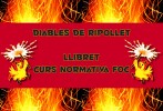 Els Diables de Ripollet celebren un simpòsium sobre la Llei del Foc -Imatge 3-