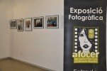 AFOCER reflexiona sobre l'evolució del paper de les dones a l'exposició "D.O.N.E.S." -Imatge 3-
