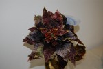 El taller d'arts decoratives exposa al Centre Cultural -Imatge 4-