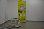 Arriba Sant Jordi al Centre Cultural amb l'exposició "Pessigolles. Catàleg d'emocions i sentiments" -Imatge 3-