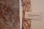 Noves exposicions amb to local -Imatge 2-