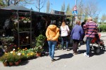 Ecologia, gastronomia i cultura es combinen a la XIX Fira dels horts  -Imatge 4-