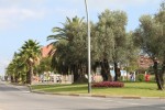 XXXIII Cursa de Festa Major -Imatge 3-