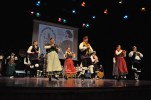 Èxit de participació a les Festes del Pilar 2012 -Imatge 5-