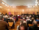 La 125a Festa de Sant Antoni Abat omple els carrers de Ripollet -Imatge 4-
