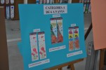 La Biblioteca entrega els premis del Concurs de Punts de Llibre el mateix dia de Sant Jordi -Imatge 2-