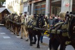 Bon temps i gran participació a la Festa dels Tres Tombs 2015 -Imatge 5-