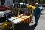 Sant Jordi a Ripollet -Imatge 2-