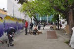 Sant Jordi triomfa un any més a la rambla de Ripollet -Imatge 4-