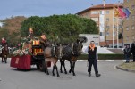 La 125a Festa de Sant Antoni Abat omple els carrers de Ripollet -Imatge 3-