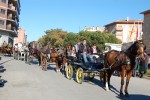 Ripollet manté viva la tradició dels Tres Tombs -Imatge 2-