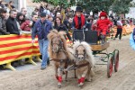 Més de 350 cavalls participen a la passejada dels Tres Tombs -Imatge 3-