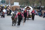 Nou èxit de participació de la festa de Sant Antoni Abat, que aplega 200 cavalls -Imatge 4-