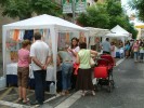 Festes de la Tardor passades per aigua -Imatge 3-