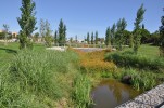 El nou skatepark del parc dels Pinetons ja està en funcionament -Imatge 5-