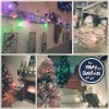 La cocteleria-teteria Sirocco guanya el primer premi del Concurs d'Aparadors de Nadal 2016 -Imatge 4-