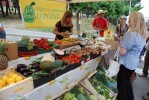 Èxit del Ripo Fira't, la primera fira de comerç al carrer de Ripollet -Imatge 4-