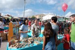 El Ripostock de tardor llueix a la plaça de Pere Quart -Imatge 4-