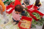 Ripollet aposta pel consum responsable i l'alimentació -Imatge 3-