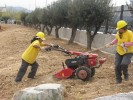 El Patronat Municipal d'Ocupació presenta la seva memòria anual -Imatge 4-