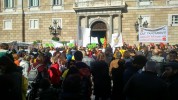 La comunitat educativa es manifesta contra el tancament d'aules i la massificació   -Imatge 2-