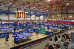 El CTT Ripollet s'emporta 10 podis al Campionat de Catalunya Aleví-juvenil 2014 -Imatge 2-