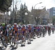 Ple absolut al parc de la Xemeneia per gaudir de la Fira dels Horts -Imatge 5-