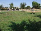 Parc dels Pinetons -Imatge 3-