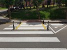 Primers treballs en la Taula per a la diversitat funcional -Imatge 2-