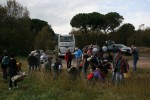 Una seixantena de persones surten a buscar bolets amb la Casa Natura -Imatge 2-