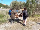 Uns 150 alumnes recullen 16 sacs de deixalles de la llera del riu pel Clean Up Day -Imatge 2-