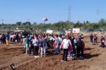 Ripollet celebra el Dia de l'Arbre amb una plantada de fruiters al Molí d'en Xec -Imatge 2-
