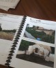 L'Ajuntament de Ripollet presenta un estudi diagnòstic de la situació dels espais verds del municipi -Imatge 2-