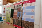 La Casa Natura acull una exposició sobre l'Àguila cuabarrada -Imatge 3-
