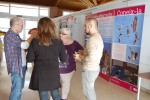 La Casa Natura acull una exposició sobre l'Àguila cuabarrada -Imatge 2-