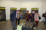 Conèixer els arbres de Ripollet al Centre Cultural -Imatge 3-