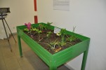 L'Associació Ripollet Natura presenta una exposició sobre la meteorologia local -Imatge 4-