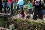 Bon ambient i força participació a la Festa del Medi Ambient -Imatge 2-