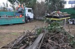 S'adjudiquen 25 horts municipals buits i es preveu fer-ne més  -Imatge 3-