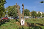 L'antic om de Can Mas, model per a l'educació ambiental -Imatge 4-