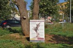 L'antic om de Can Mas, model per a l'educació ambiental -Imatge 3-