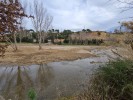 Retirada la canya a dos trams dels rius Ripoll i Sec al seu pas per Ripollet -Imatge 3-