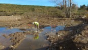 En marxa les obres de recuperaci de l'ecosistema fluvial i d'un gual a la zona de Mol d'en Xec -Imatge 2-