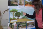 L'exposició 'Blau sobre Gris' torna de França a la Casa de Natura -Imatge 2-